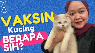 BIAYA VAKSIN KUCING+PENGALAMAN VAKSIN PERTAMA KUCINNG | PIKOCENG