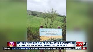 Los Angeles building new wildlife overpass