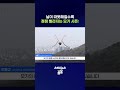 날 따뜻해지니 모기가 다가옴 #모기 #shorts #스브스뉴스