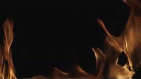 pix2pixHD Fire 720p 24fps