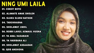 NING UMI LAILA FULL ALBUM SHOLAWAT TERBARU || COKOT BOYO || SHOLAWAT PENYEJUK HATI