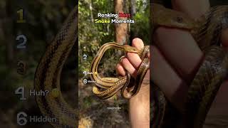 Ranking Best Snake Moments