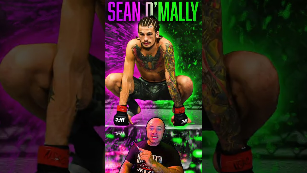 Secret to Sean O'malley's power #ufc #boxing