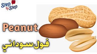 نطق كلمة Peanut فول سودانى  🗣️