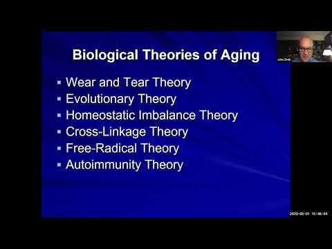 Physiological Theories of Aging