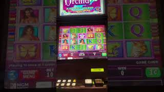 Bonus en white orchid en casino