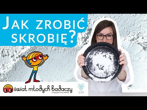 Jak zrobić skrobię? | Nauka Jest Fajna! | Świat Młodych Badaczy #eksperyment