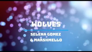 Wolves  (lyrics)  Selena Gomez & Marshmello