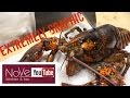 EXTREMELY GRAPHIC: Lobster Cantonese (Chinese Inspired)