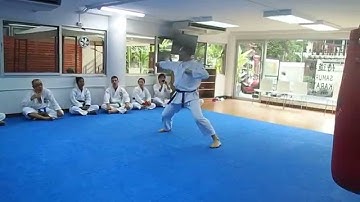 3rd Kyu to 2nd Kyu Belt Test Kata - Jion