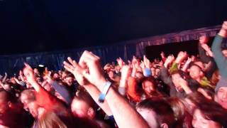 Feeder @ Loopallu 2016 - Buck Rogers
