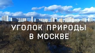 Уголок природы в Москве / SmartSky PRO