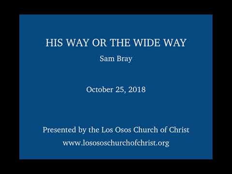 Video preview