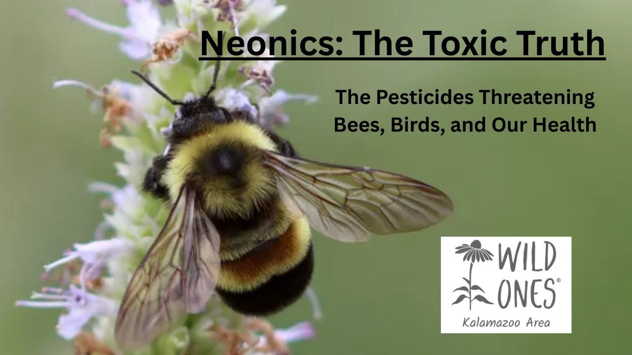 Neonics, The Toxic Truth: The Pesticides Threatening Bees, Birds, and Our Health