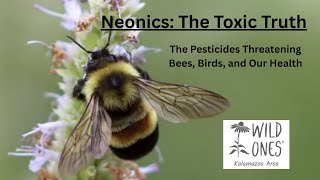 Neonics, The Toxic Truth: The Pesticides Threatening Bees, Birds, and Our Health