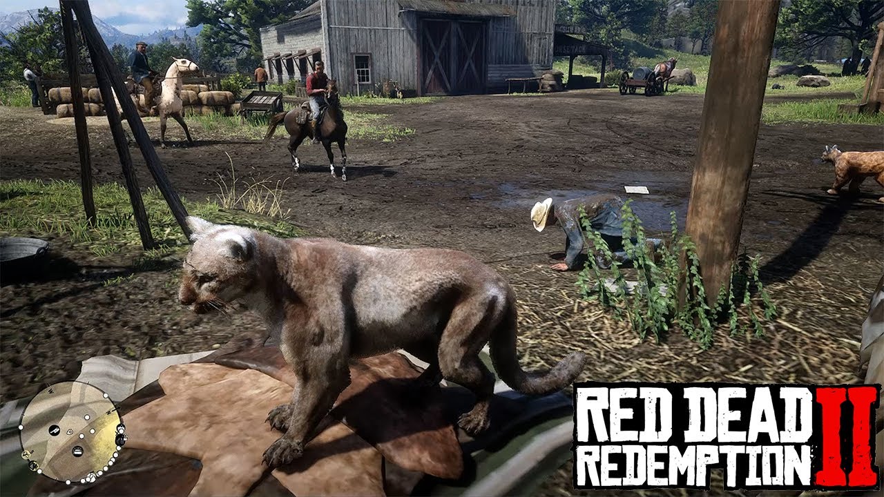 Panters In Rdr2 Panthers and Cougars in Red Dead Redemption 2 - YouTube