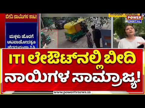 Stray Dog Menace In Bengaluru: ITI ಲೇಔಟ್‌ನಲ್ಲಿ ಬೀದಿ ನಾಯಿಗಳ ಸಾಮ್ರಾಜ್ಯ!