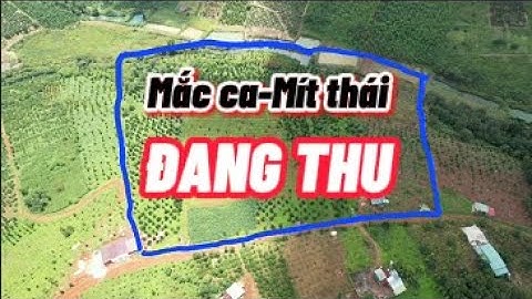 Bán 6ha đất đắk nông, đất thoải và nguồn thu ổn. Đường xá thuận tiện.Đt:0929339929 #bất_động_sản