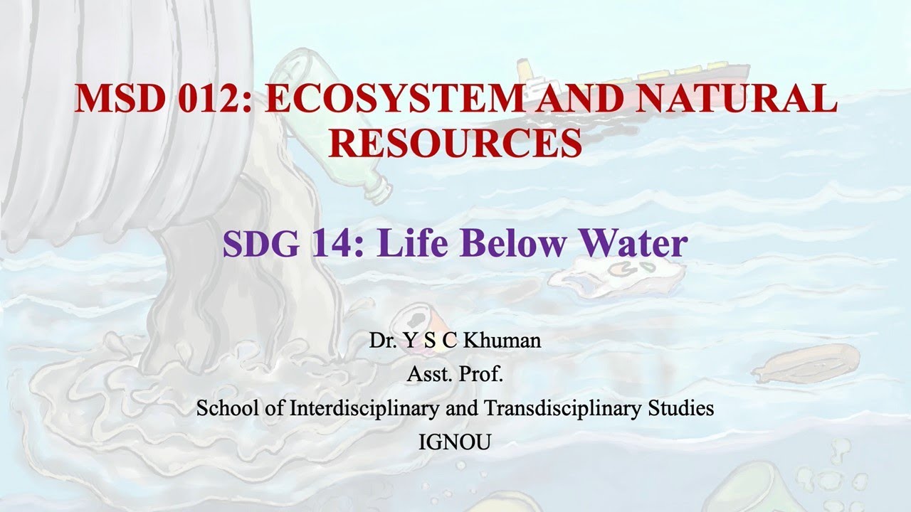 SDG 14 Life Below Water