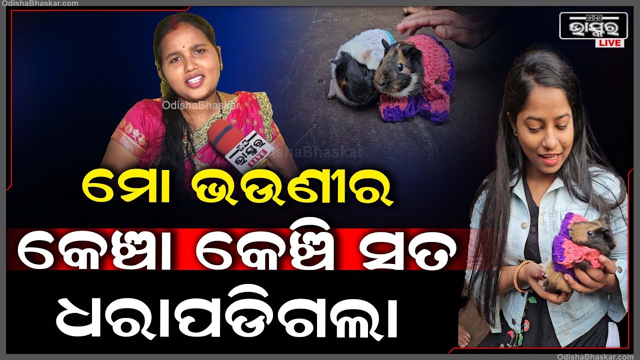 ମୋ ଭଉଣୀର ମୂଷା, ମୋ ଭାଇର ଭାଲୁ ଆଉ ମୋର ମାଙ୍କଡ ଛୁଆ.. ଡ୍ରେସ ନପିନ୍ଧିଲେ କଥା କହିବେନି @OdishaKiran