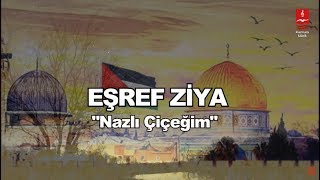 EŞREF ZİYA  \