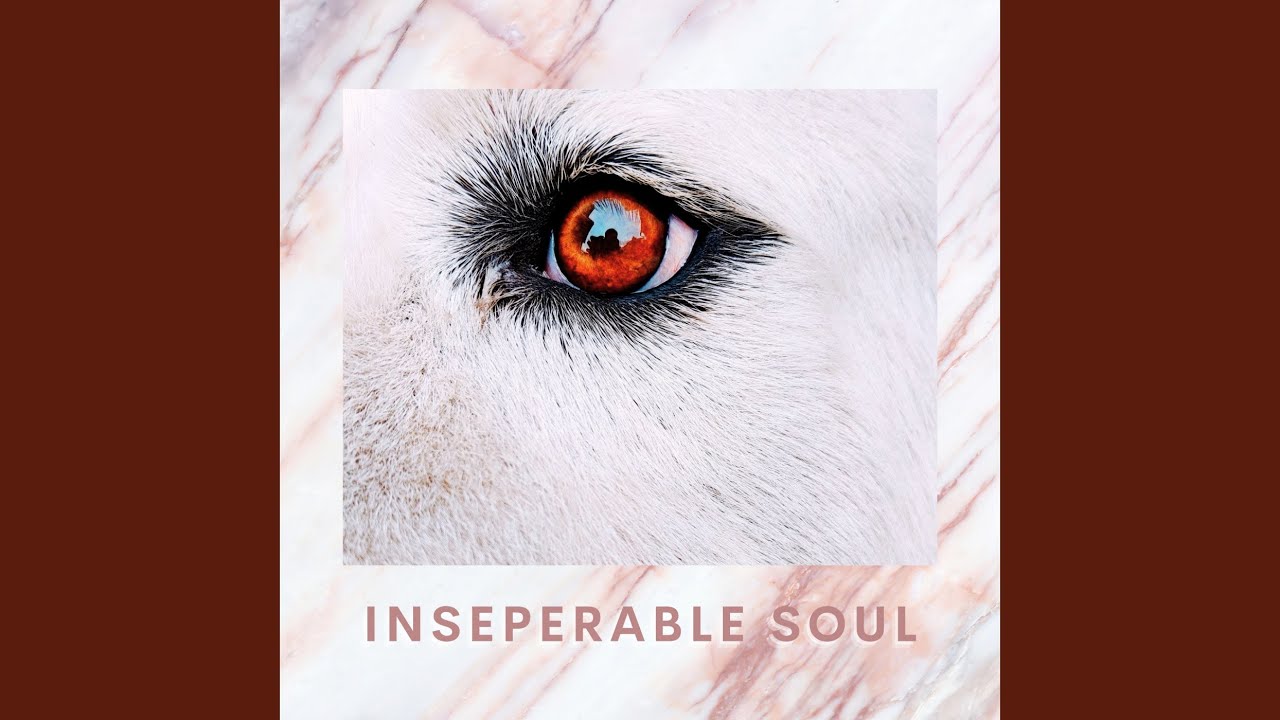 Illusionary Snuggle Bond