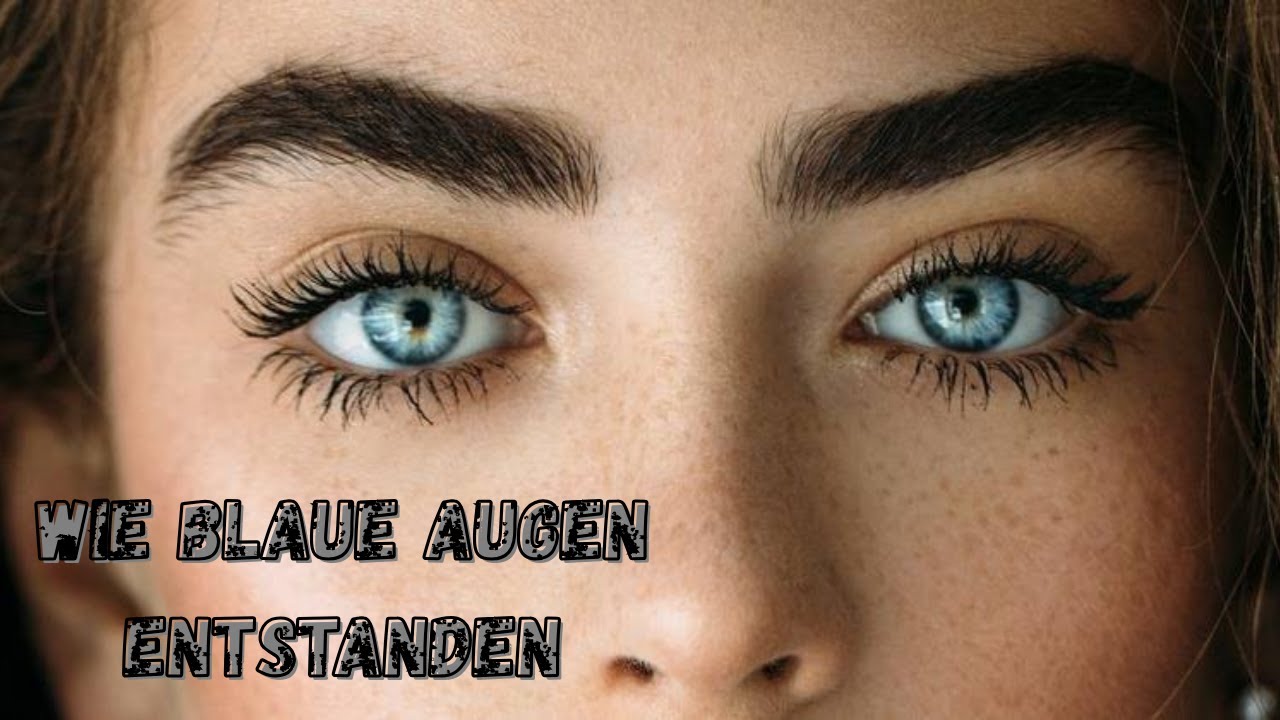 Blaue Augen sind erst 10 000 Jahre alt – so hat alles begonnen