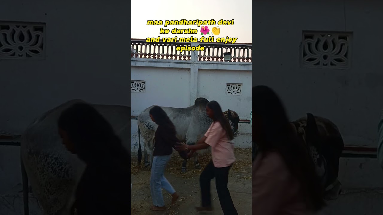 वारी मंदिर माता रानी के दर्शन और वरी का मेला 