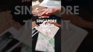 Singapore Transit Visa #shorts #singaporevisa #singapore