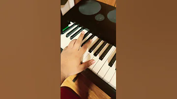 Stuart Sons 9 Octave Piano Key C0 B8 CASIO WK 6600 