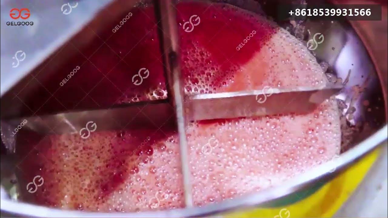 Production Process of Tomato Juice Everything You Need to Know YouTube