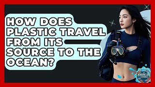 How Does Plastic Travel From Its Source To The Ocean - The Marine Life Explorer