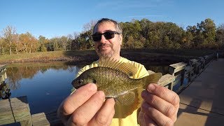 Fishing with a Subscriber at Lake Brutal
I get emails all the time from people who have been struggling to catch a fish at their local water. So I decided to meet up with a subscriber and see if I could help.
BUY CATFISH & CARP T-Shirts, Mugs and hoodies. http://shop.spreadshirt.com/catsandcarp/
The Video Editing Software is Sony Vegas 14.0 http://amzn.to/2zu7BAe
Canon T5i (700D) http://amzn.to/2jcPFEi
GoPro Hero 5+ Black http://amzn.to/2zuQnAI
GoPro Session 5+ http://amzn.to/2ynwytT
Goose Neck Clamp for GoPro http://amzn.to/2ztFmlo
Selfie Stick http://amzn.to/2Ax1MAg
Camera Tripod http://amzn.to/2ym42bW
LED light for DSLR camera http://amzn.to/2ym186V
Gopro chest mount http://amzn.to/2hoyejp Fishing with a Subscriber at Lake Brutal