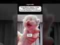Помогите выбрать ☺️