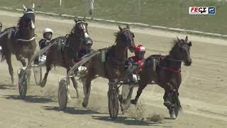 Vidéo de la course PMU PREMI BOREE