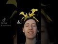 5YL Redesigns Part 7: Stinkfly #ben10 #ben10classic