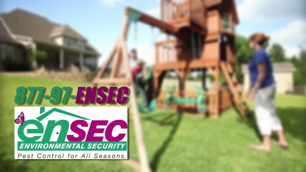 EnSec Mosquito Service