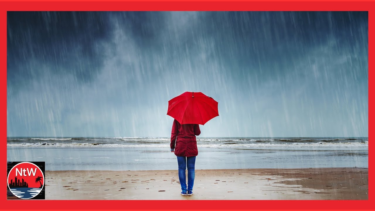 Near the Water - After the Rain