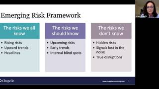 Ermerging risks: a framework