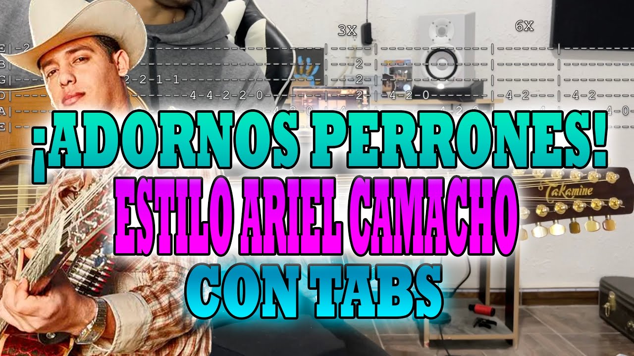 ¡Adornos PERRONES Estilo ARIEL CAMACHO Que Debes Saber! - TUTORIAL - CON TABS