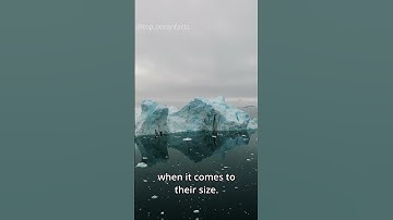 Thumbnail of The Largest Iceberg On Earth