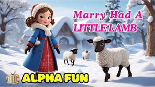 Marry Had A Little Lamb Alpha Fun Nursery Rhymes & Kids Songs