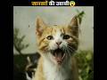 जानवरों की उबासी 😰 #shorts #trending #animals