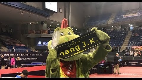 张继科 Zhang Jike VS. 阿波罗尼亚 Apolonia Tiago 2017 German Open Men
