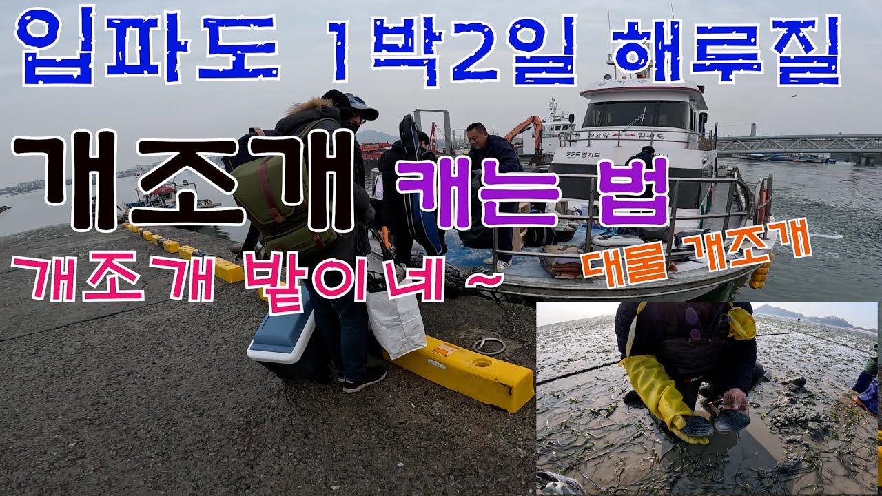 입파도 1박2일 개조개 해루질 1편(피조개, 떡조개, 모시조개)