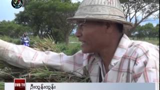 DVB -11-09-2014 ဘာလားေခ်ာင္း ေရၾကီးရုပ္သံ