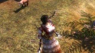 Dawn of Magic Character Morphing [Blood] screenshot 5