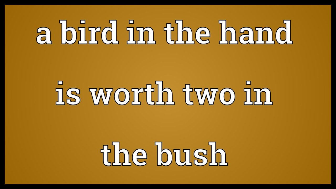 A Bird In The Hand Is Worth Two In The Bush Meaning Youtube