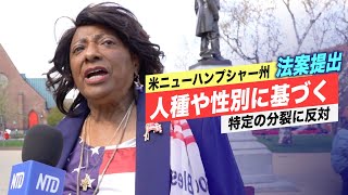 〈字幕版〉 ニューハンプシャー州議員 批判的人種理論を禁止する法案を提出