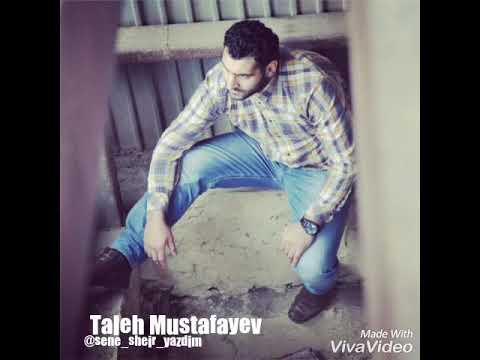 Taleh Mustafayev - Anaya aid sheir